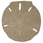 Table d'appoint Coastal